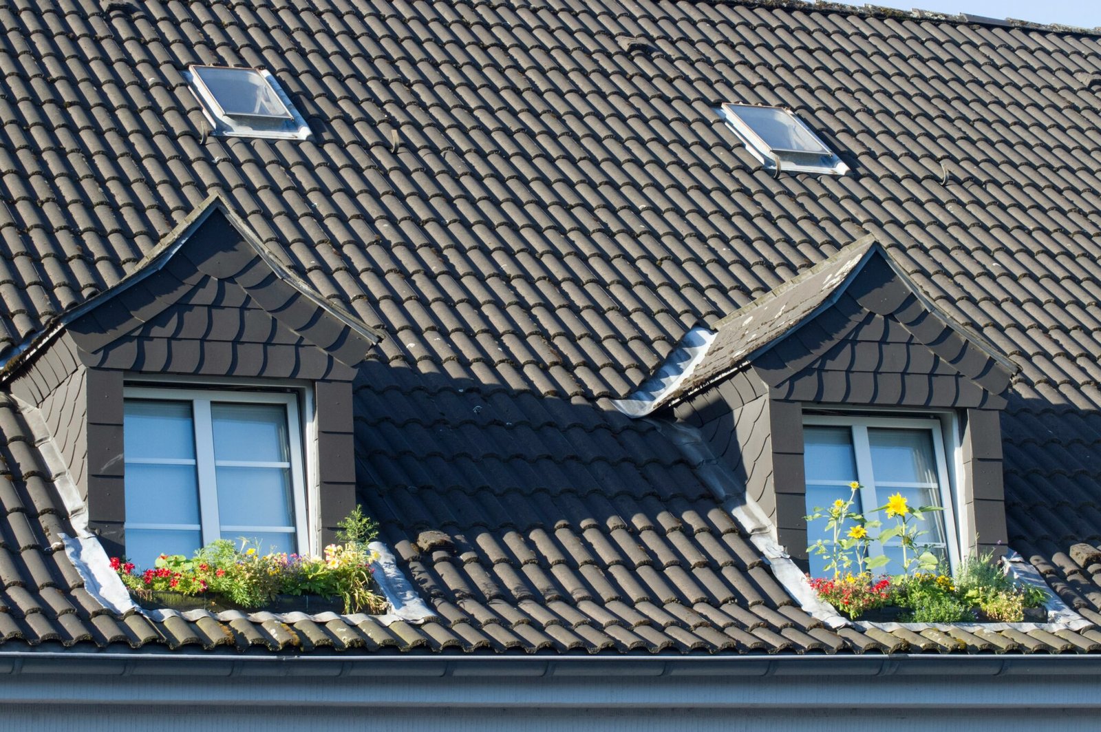 Servicios paddy pohlod ehiuyktuunu unsplash